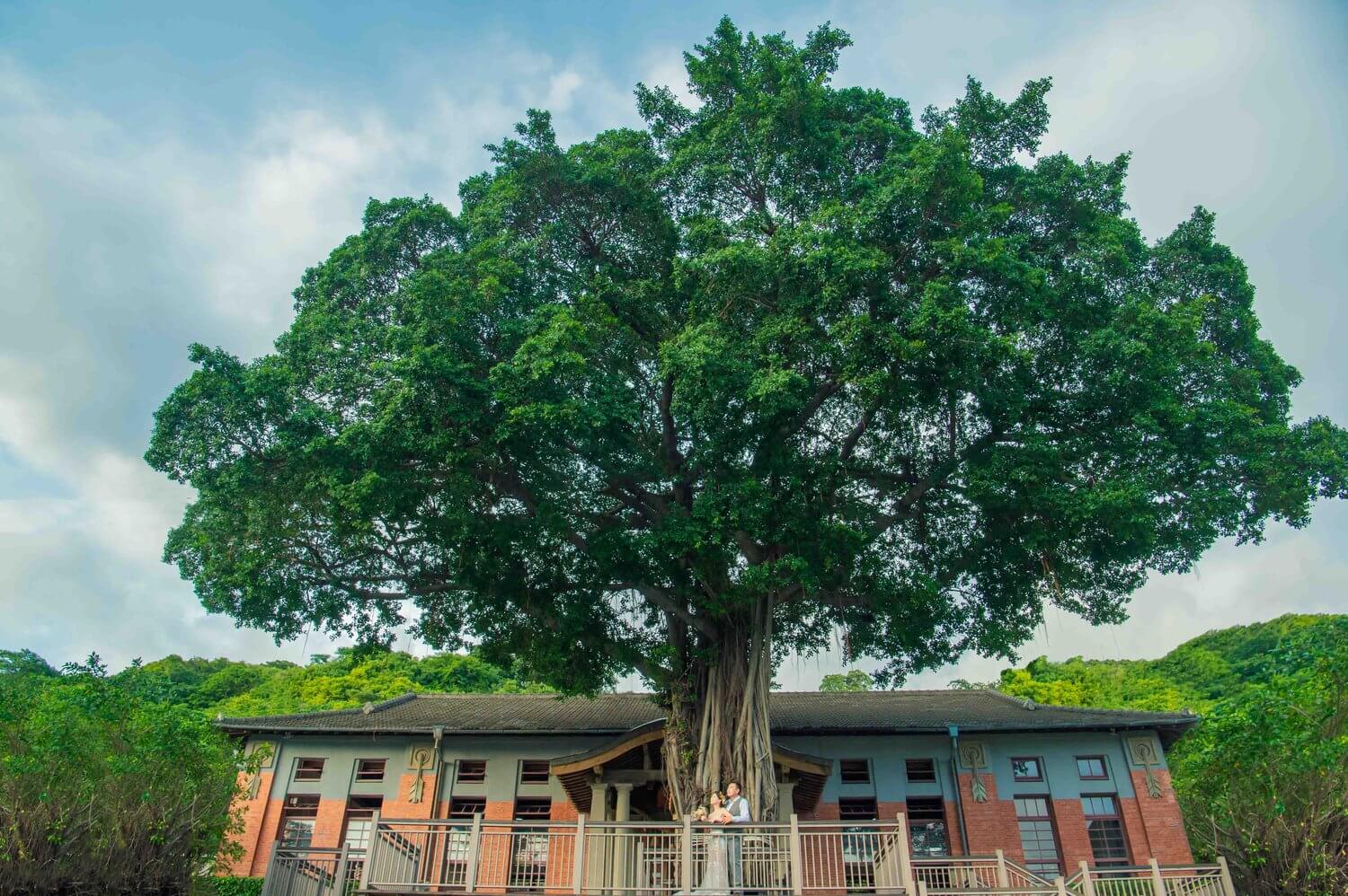 高雄婚紗(高瑞&姿珵)的第7張圖片